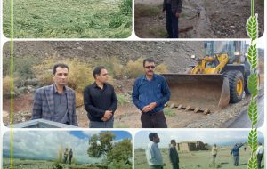 مدیر جهاد‌ کشاورزی شهرستان‌ جیرفت خبر داد: بیش‌از ۸۲‌ میلیارد تومان خسارت سیل به بخش کشاورزی