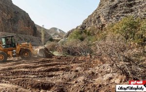دادستان عمومی قلعه‌گنج خبر داد: رفع تصرف ۶۰۰۰ هکتار از اراضی قلعه‌گنج