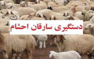فرمانده انتظامی رودبار جنوب خبر داد: دستگیری سارقان احشام کم‌تر از ۲۴ ساعت