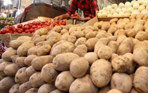 رئیس اتحادیه فروشندگان میوه سبزی ؛ گرانی سیب‌‌زمینی و گوجه‌فرنگی از سوءمدیریت است