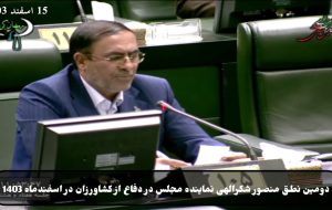 نماینده مجلس ۶ شهرستان جنوبی استان کرمان: قطعی برق برای کشاورزان جنوب مشکل‌ساز شد